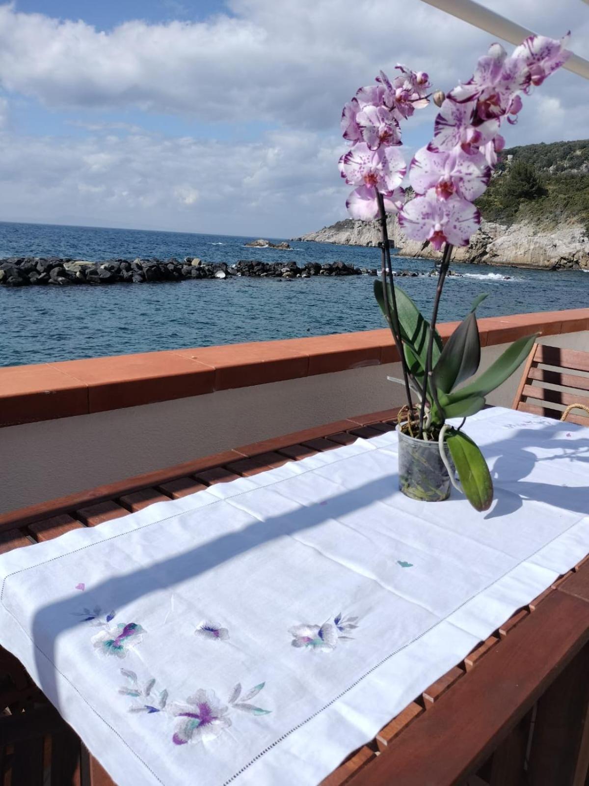 Casa Vacanza Verde Smeraldo- Massa Lubrense Zewnętrze zdjęcie